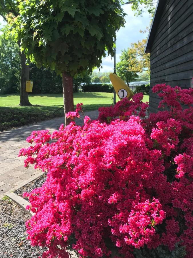 Gassel B&B De Prinsenhof מראה חיצוני תמונה
